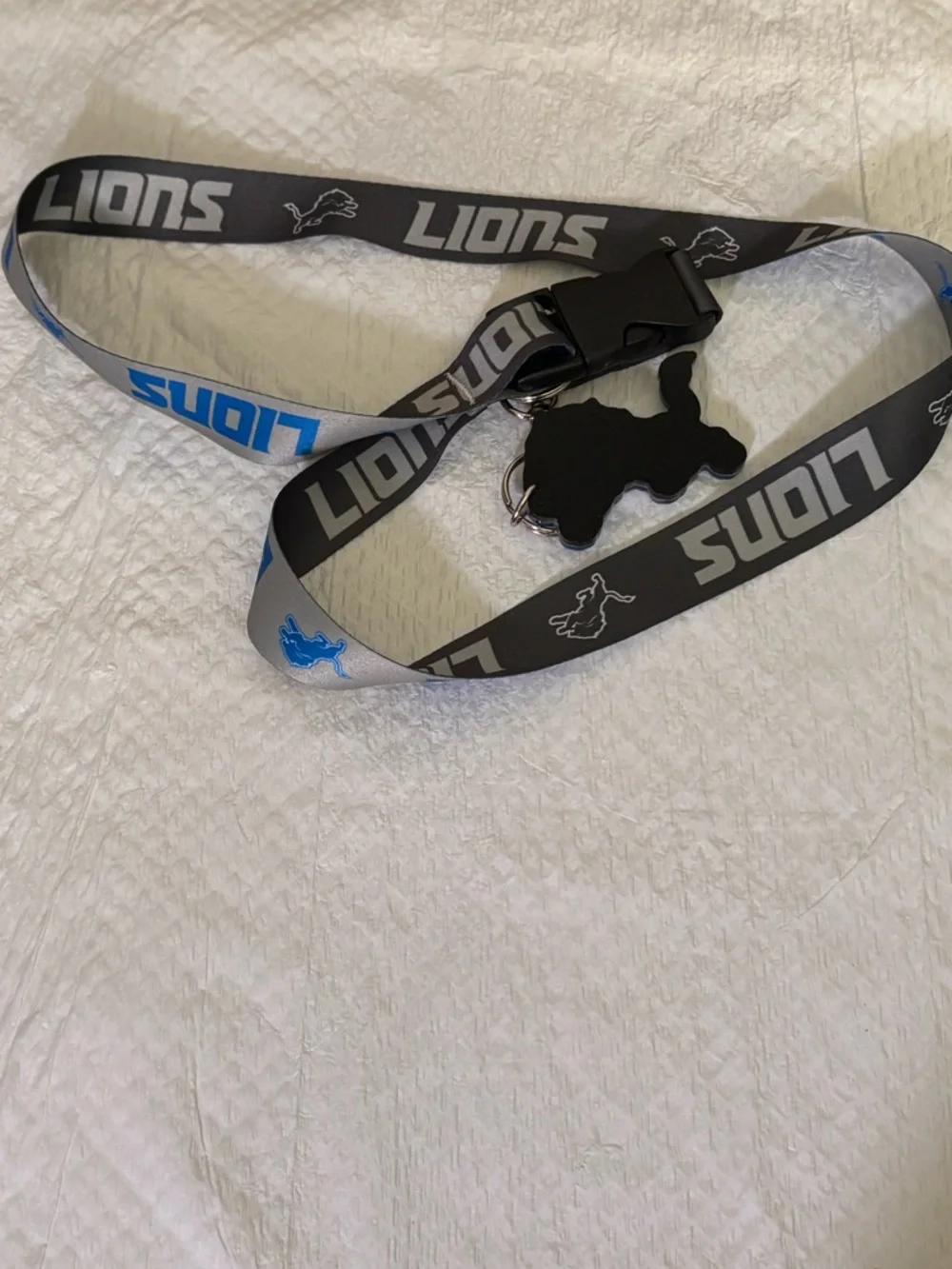 NFL White Detroit Lions Neck Accessory 204